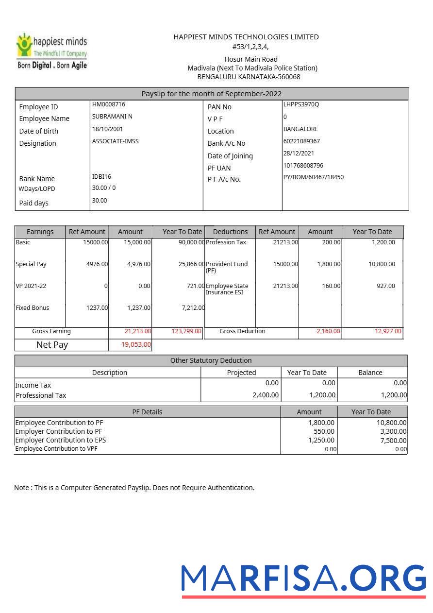 Blank Happiest Minds Technologies payslip template